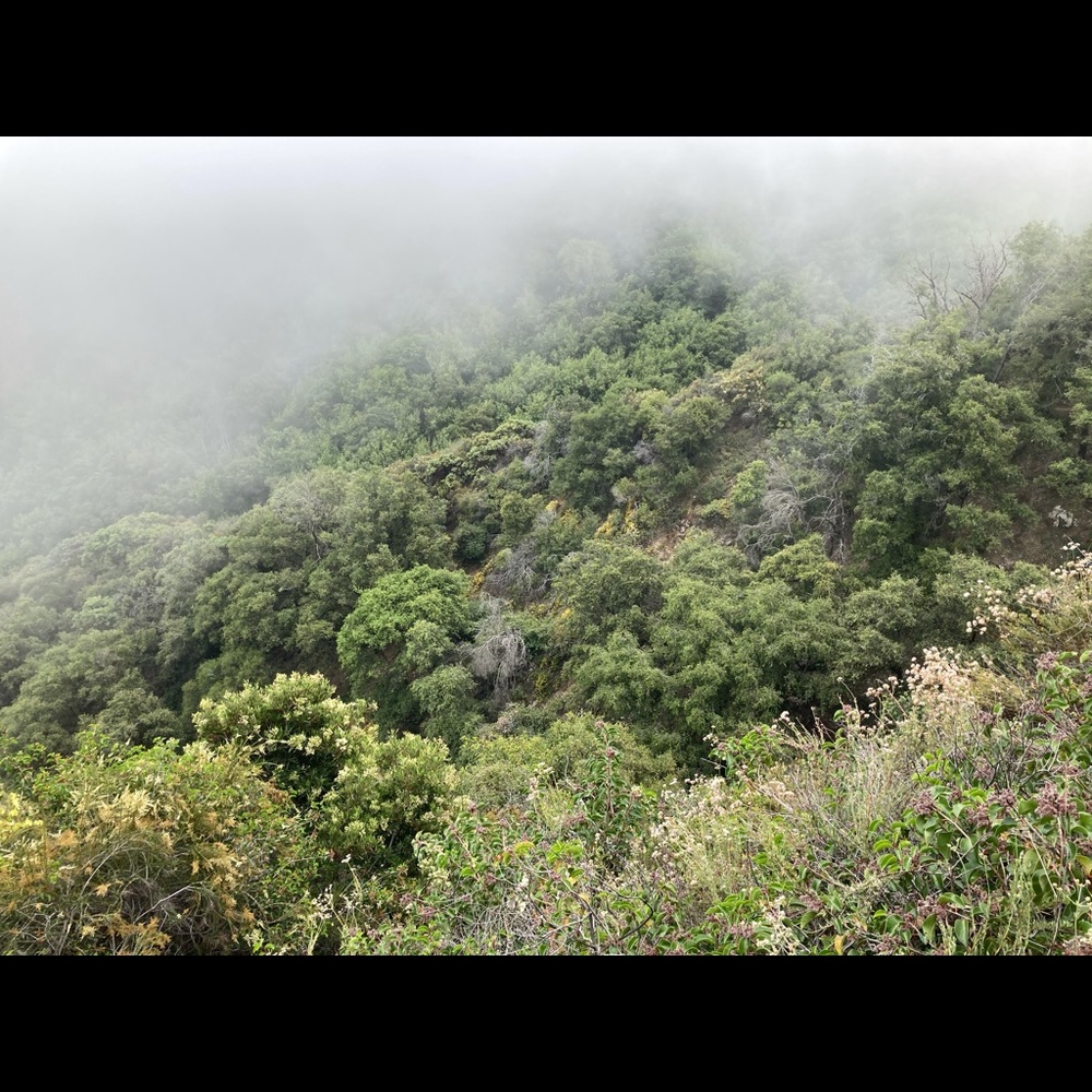 Meet your Posher, Gabriel